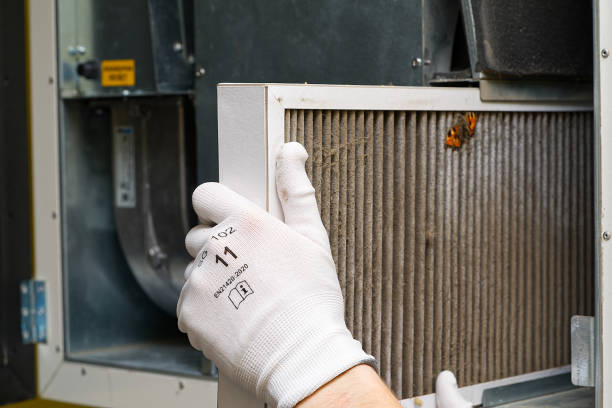 Best Affordable Duct Cleaning Services  in Elba, AL