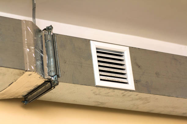 Best Professional Duct Cleaning Services  in Elba, AL